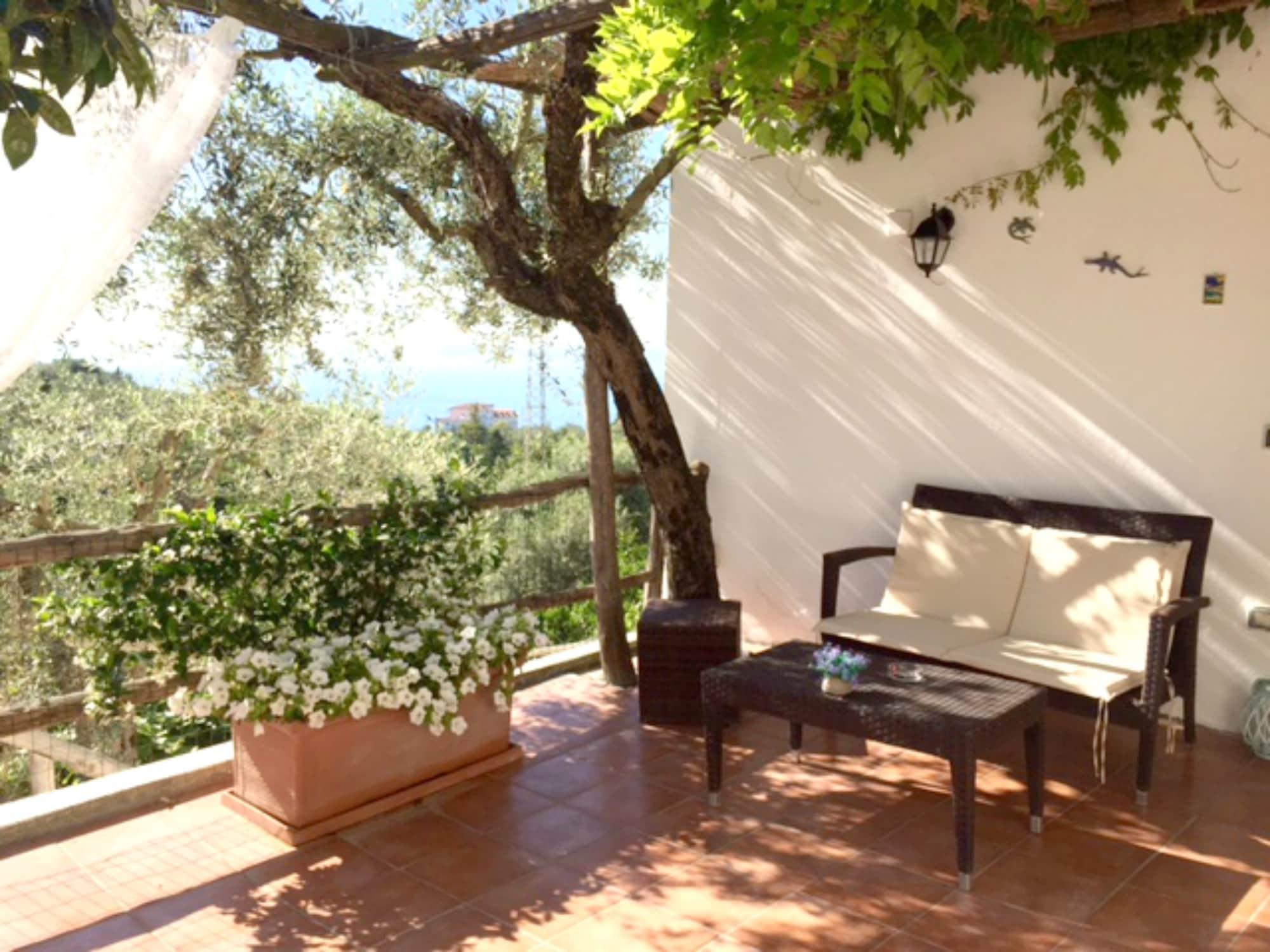 Villa Carolina Sorrento Private Heated Pool And Sea View Екстериор снимка