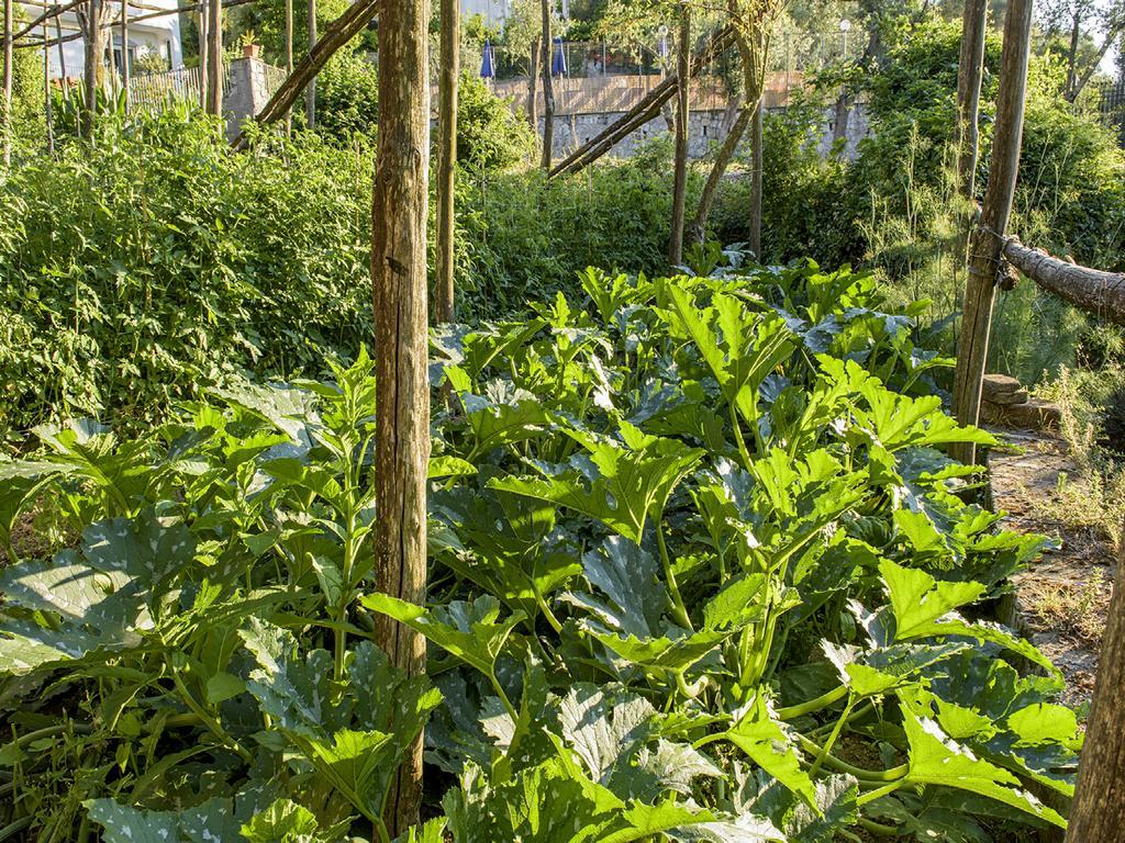Villa Carolina Sorrento Private Heated Pool And Sea View Екстериор снимка