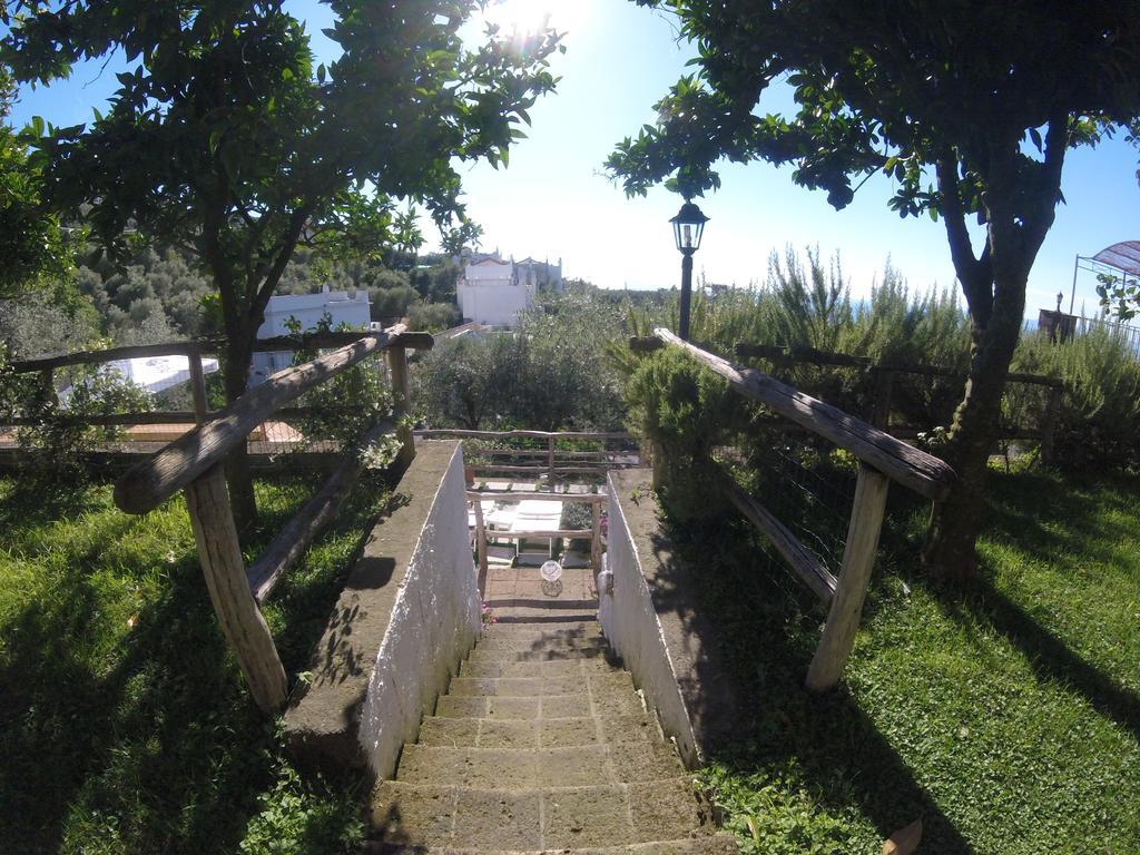 Villa Carolina Sorrento Private Heated Pool And Sea View Екстериор снимка